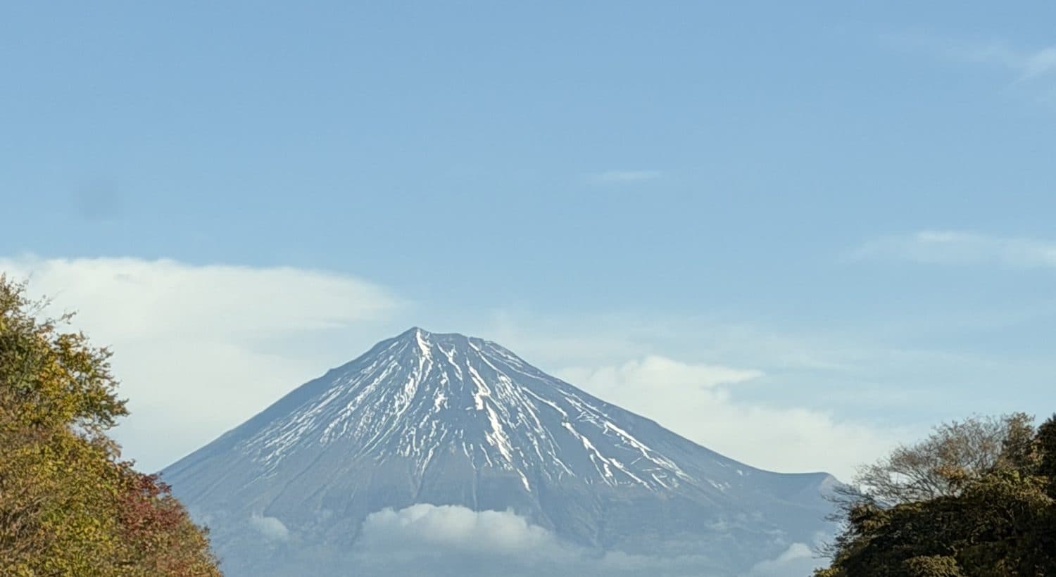 Mount Fuji with snow-capped peak above pink cherry blossoms