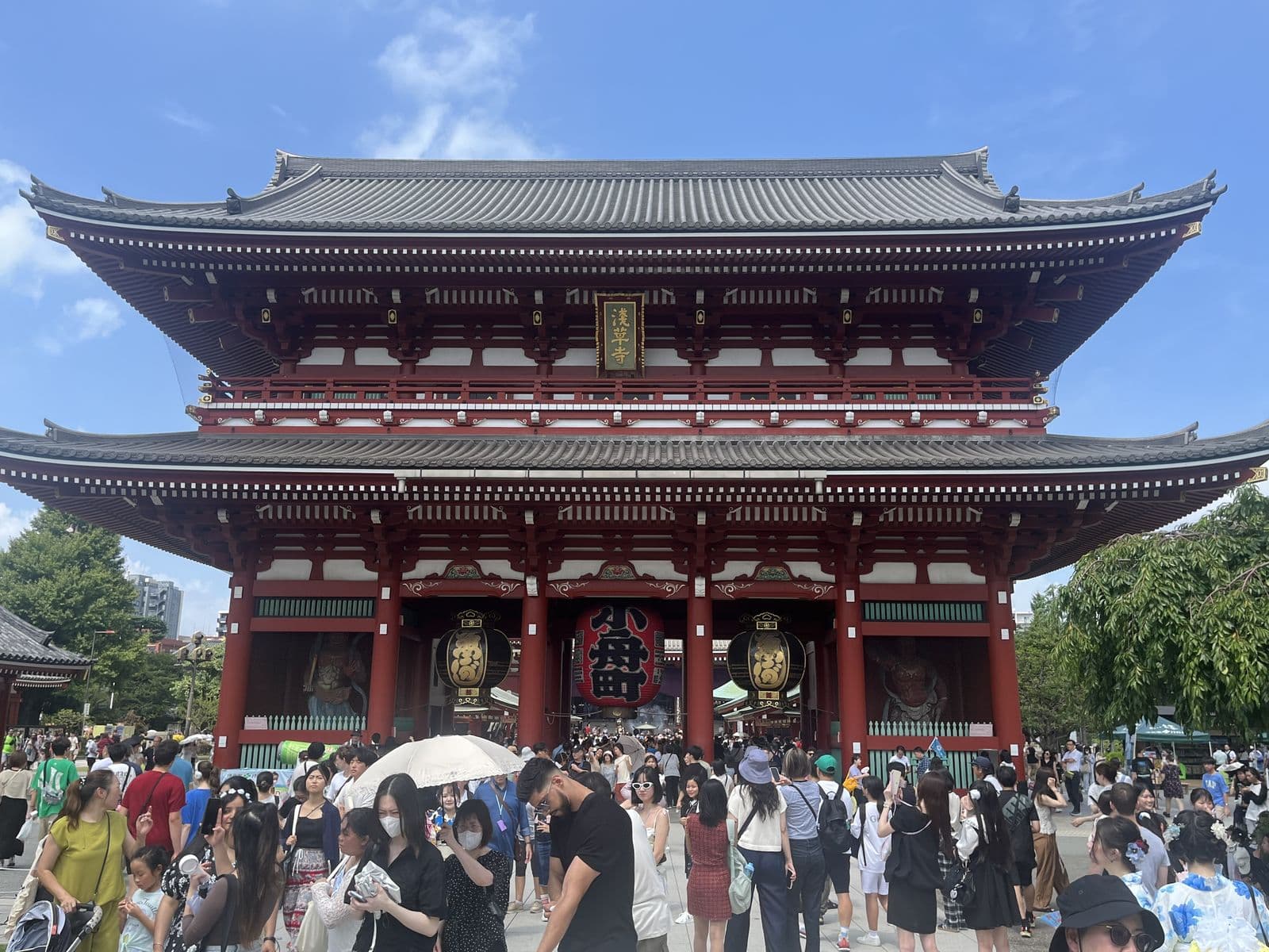 Study in Japan